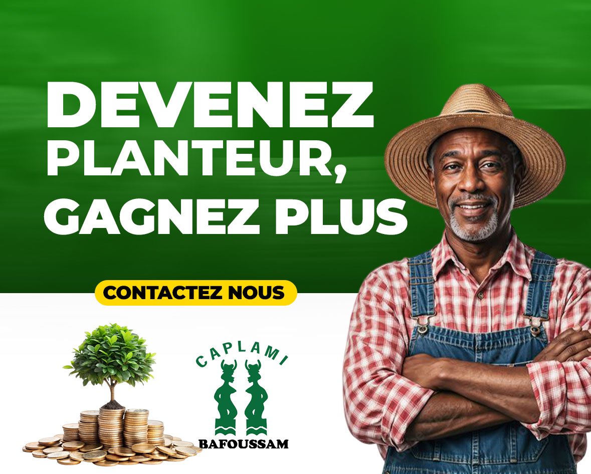 Retrait sur place à Bafoussam